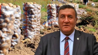 Binlerce ton patates çürümeyle karşı karşıya 