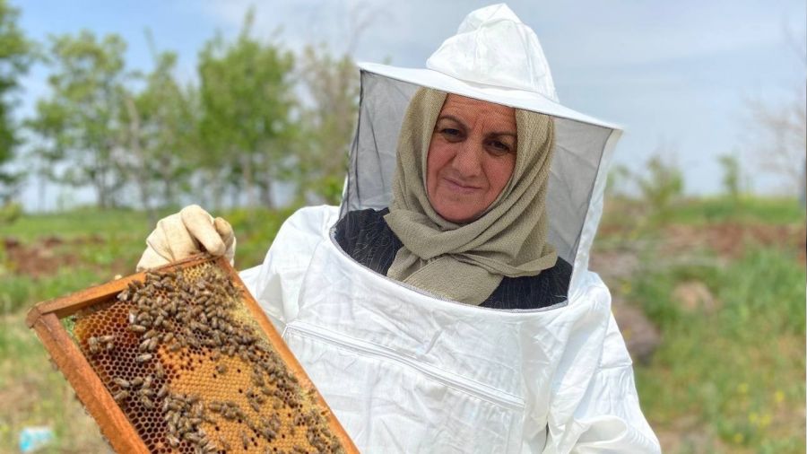 Bir anne şefkatiyle arılara bakıyor