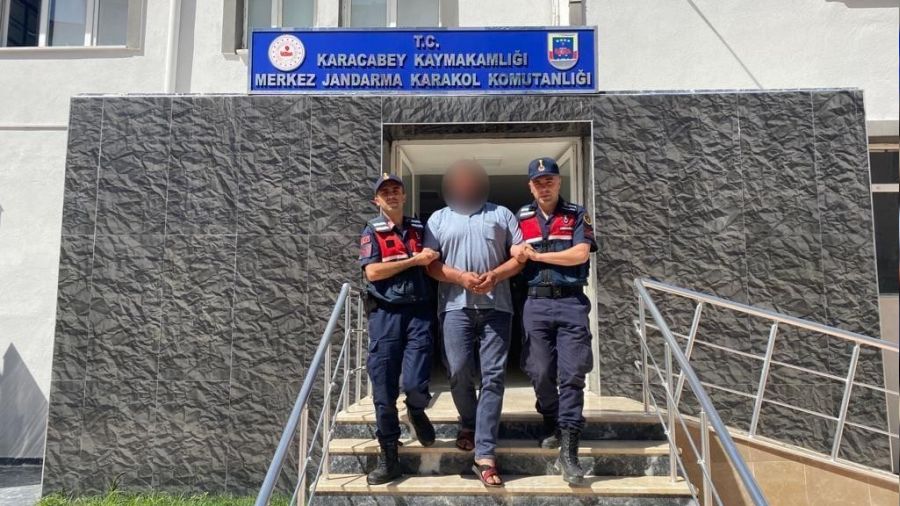 Bir ceviz dolandırıcımız kesikti!