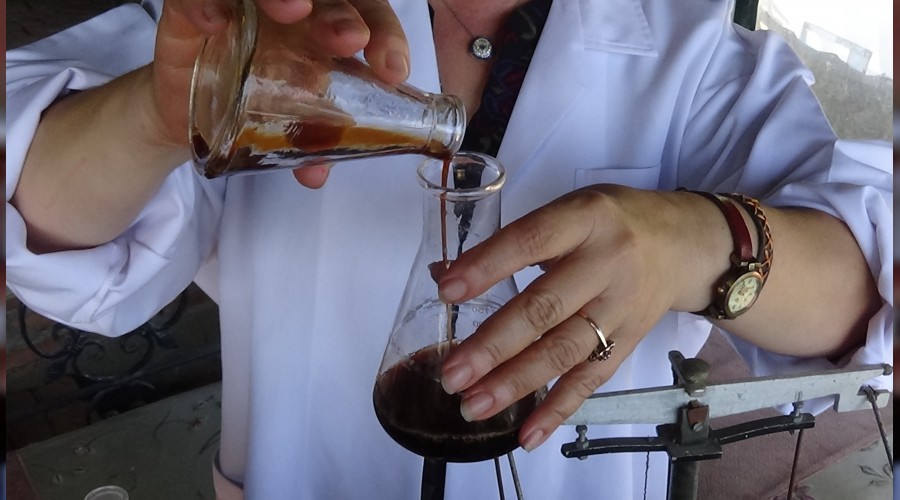 Bir�ok derde derman: Kantaron ya��