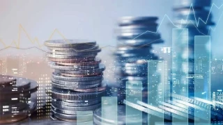 Bireylerin finansal ynetim pratikleri deiti