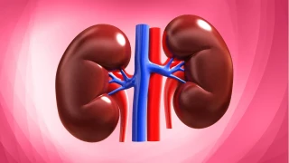 B�brek Ta�� Hakk�nda Do�ru Bilinen Yanl��lar