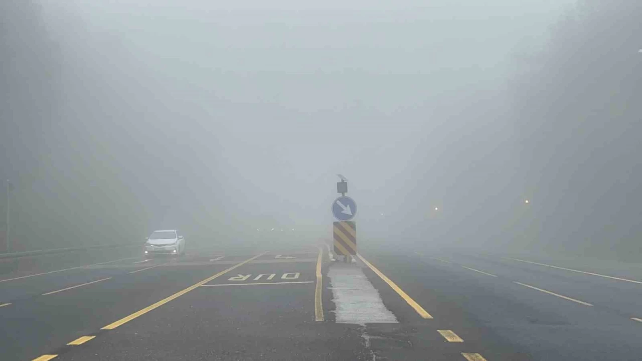 Bolu Da��'nda g�z g�z� g�rm�yor: G�r�� mesafesi 20 metre