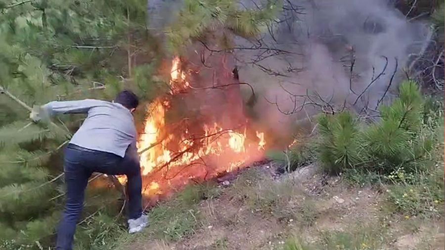 Bolu'da son 10 yılda 276 orman yangını meydana geldi