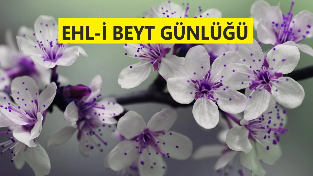 Bu iddiada bulunan yalancıdır