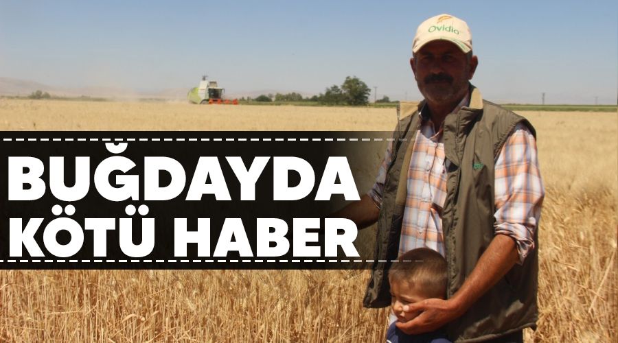 Bu�dayda k�t� haber