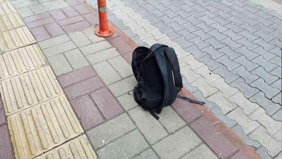 Bursa'da pheli anta panii