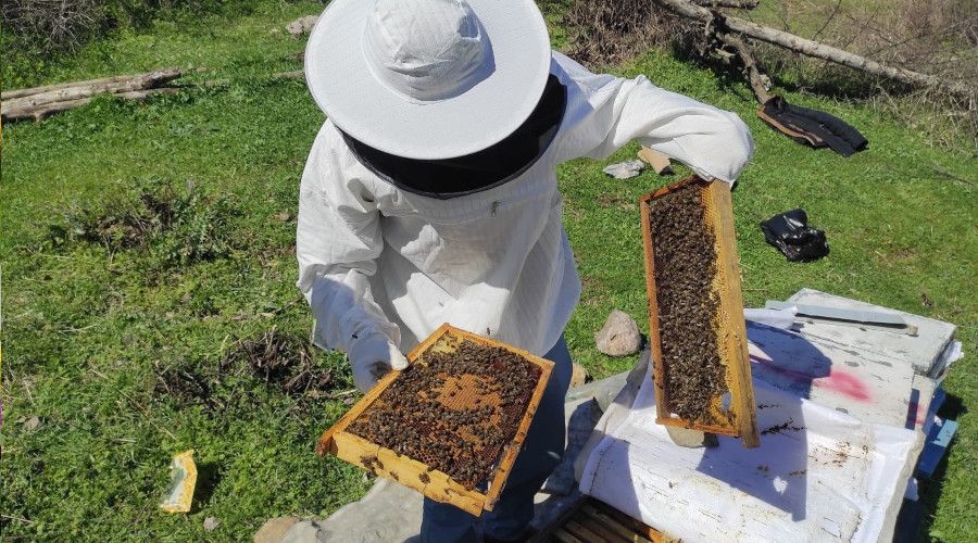 �i�eklerin a�mas�yla ar�c�lar�n zorlu mesaisi ba�lad�