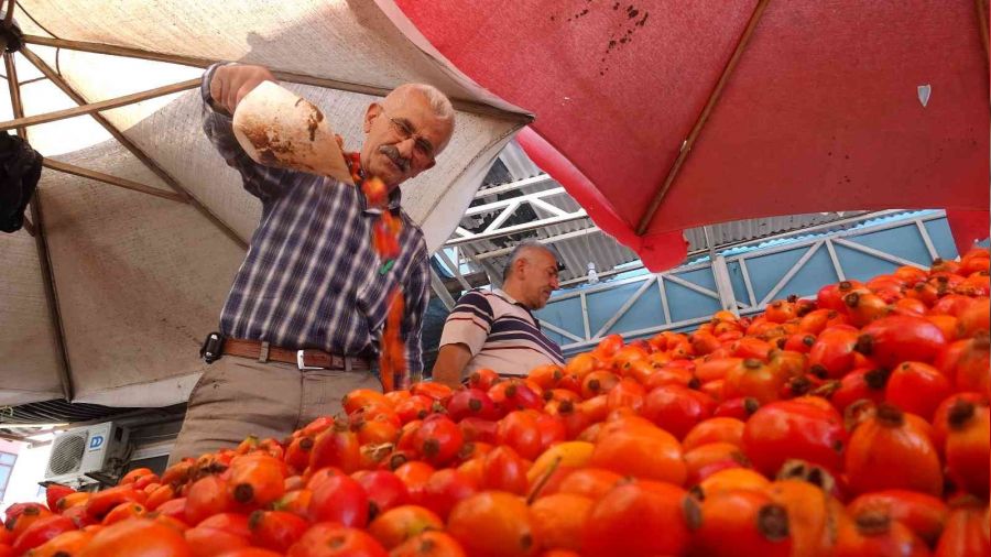 Dalndan sofraya kuburnunun lezzet yolculuu