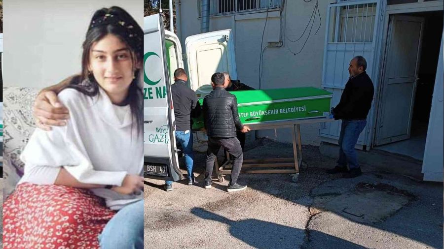 Dilber, kardeinden silah almak isterken vurulmu