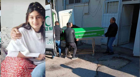Dilber, kardeinden silah almak isterken vurulmu