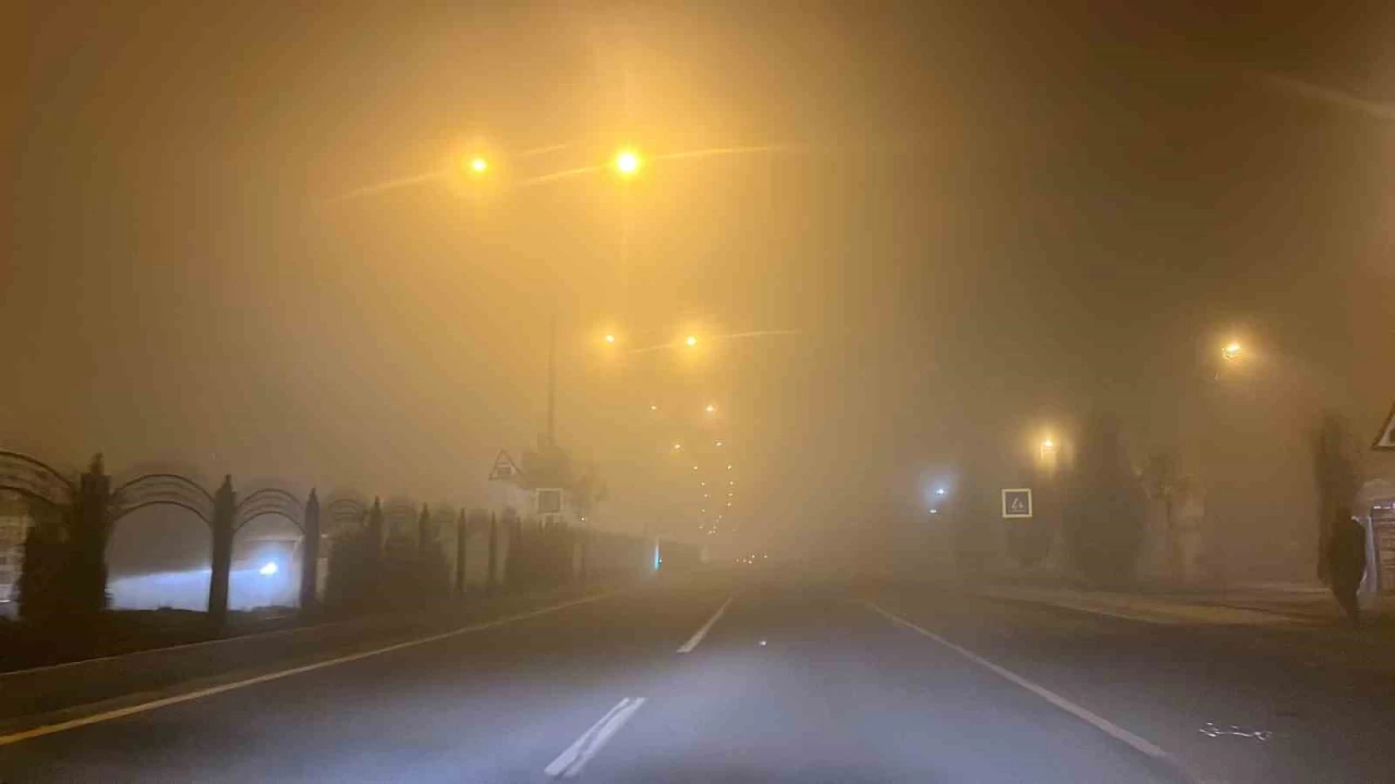 Diyarbak�r'da u�u�lara 'sis' engeli