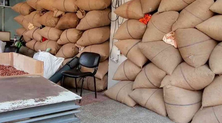 Doların yükselişi fındık fiyatlarını hareketlendirdi