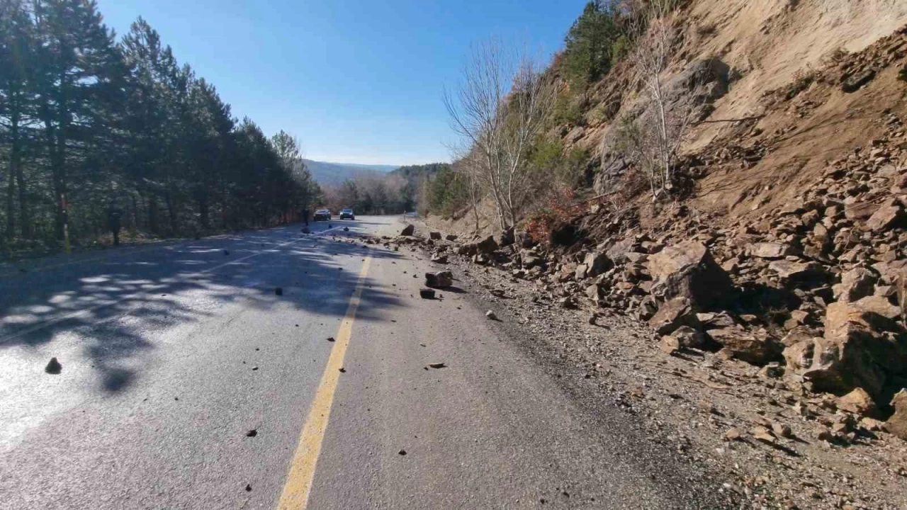 Domani�-�neg�l karayoluna ta� d��t�