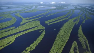 Dünyanın en çok su taşıyan nehri: Amazon