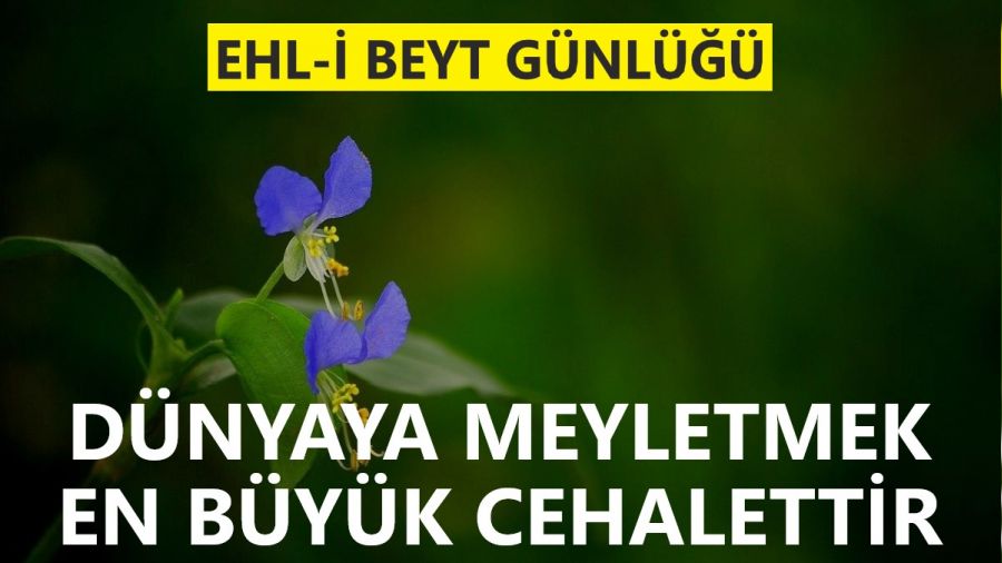 Dünyaya meyletmek en büyük cehalettir