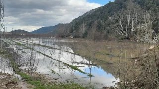 E�irdir'de yo�un ya���, bah�eleri g�le �evirdi