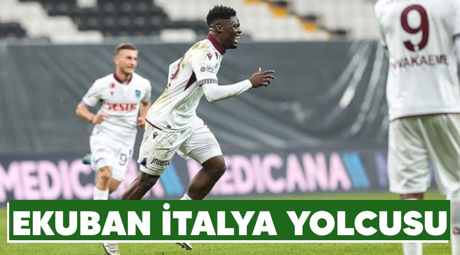 Ekuban talya yolcusu