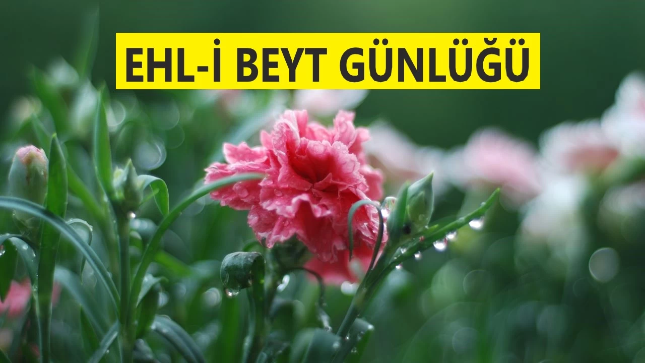 Emevi döneminde siyaset