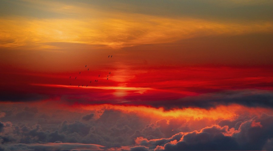 �En faziletli amel ara bulmakt�r�