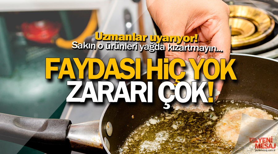 En zararl� k�zartma tavuk ve bal�k