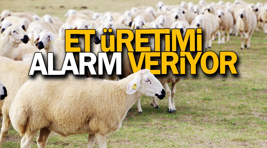 Et �retimi alarm veriyor