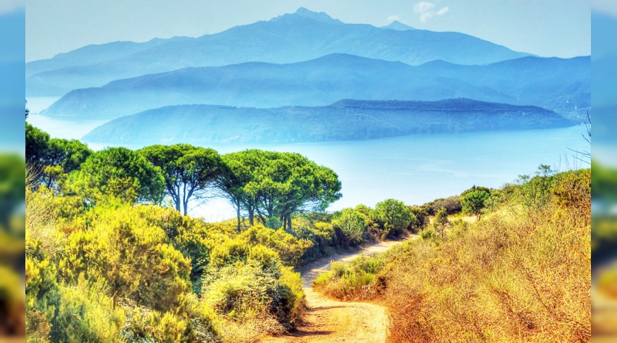 �Ey riyak�r! Amelin havaya savruldu�