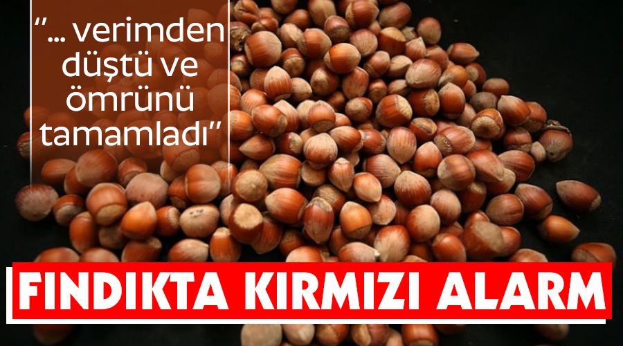 F�nd�kta k�rm�z� alarm