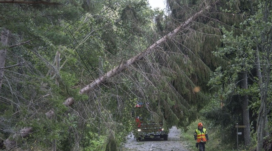Finlandiya'da Aila Fırtınası 80 bin haneyi elektriksiz bıraktı