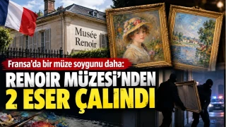 Fransa'da m�ze h�rs�zl��� reva�ta!