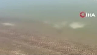 Gen� kad�n� 8 yerinden b��aklay�p baraja att�lar