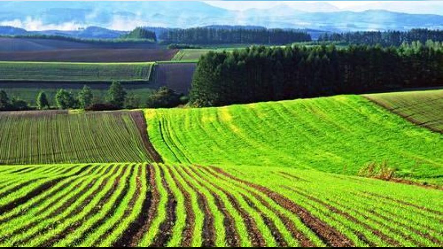 G�nen'de sat�l�k 6.800 m� tarla 