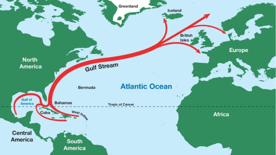 Gulf Stream ve BOP