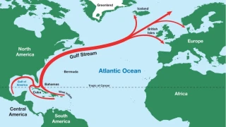 Gulf Stream ve BOP