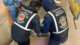 G�mr�klerde "uyu�turucu" bilan�osu: 3,5 y�lda 108,7 ton madde ele ge�irildi!