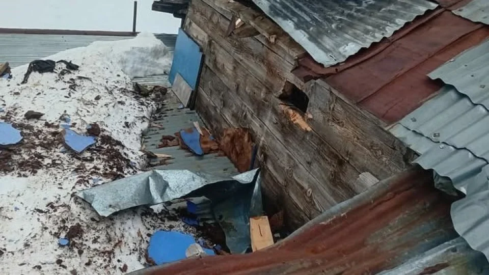 G�m��hane yaylalar�nda ay� deh�eti devam ediyor