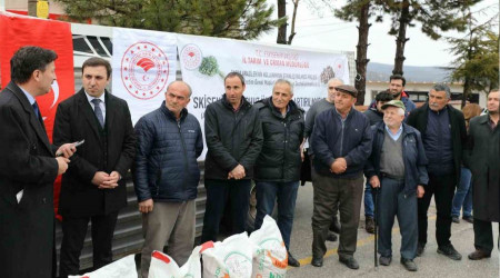 Han'da nohut üretimi yüzde 600 artacak
