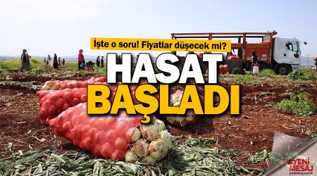 Hatay'da soan hasad balad
