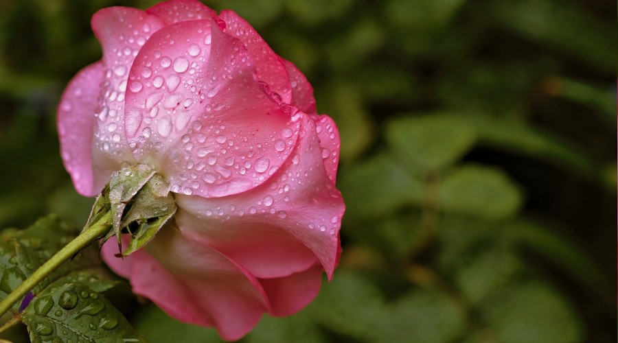 �Her �ey namaz�na ba�l�d�r�