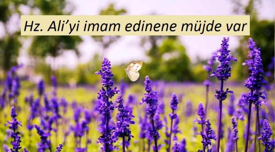 Hz. Ali�yi imam edinene m�jde var