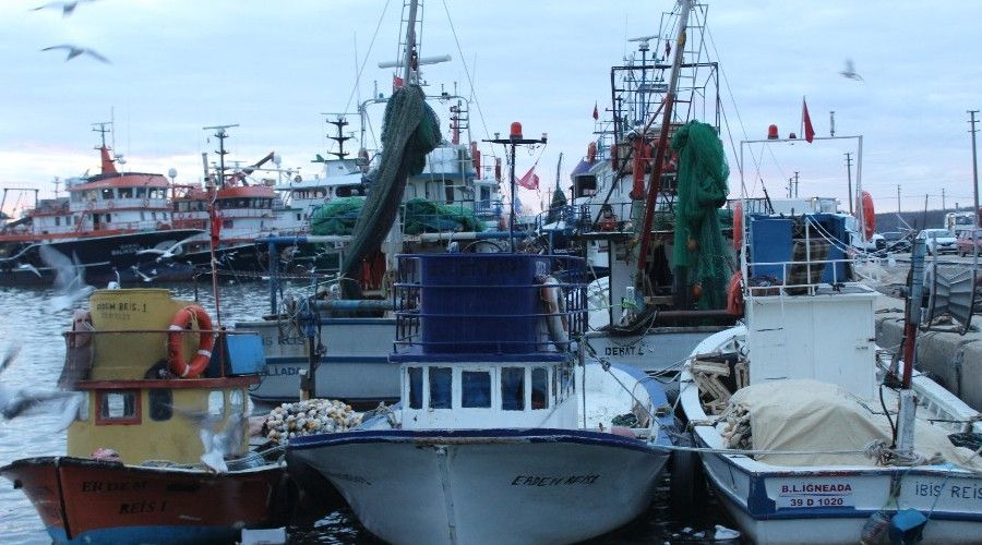 İğneada'da balıkçılar limana boş kasalar ile dönüyor