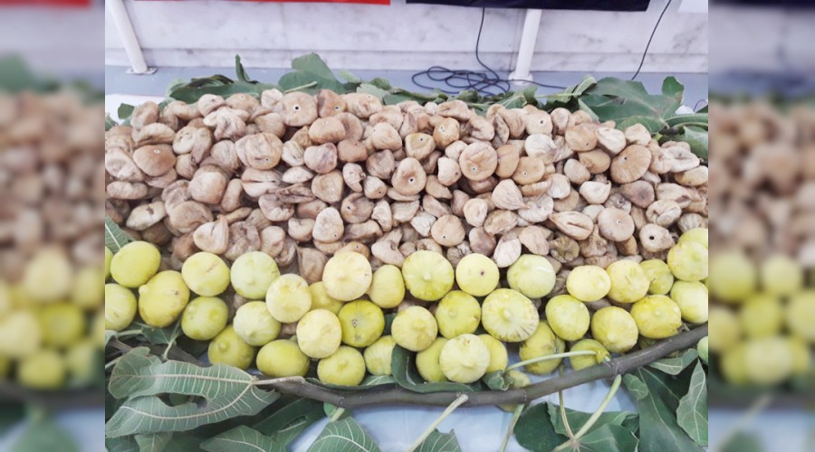 �hracatta �in bereketi