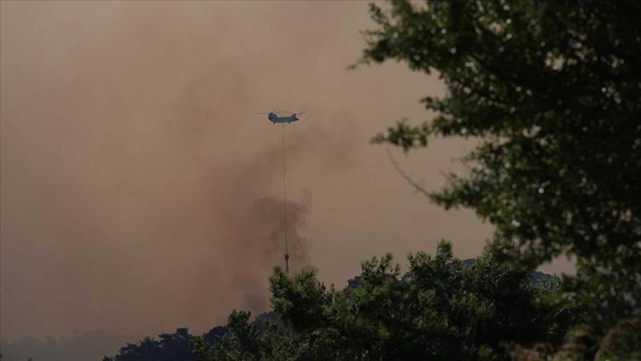 �leti�im Ba�kanl���ndan orman yang�nlar�na ili�kin a��klama