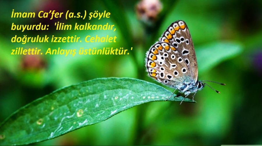 ��lim kalkand�r, do�ruluk izzettir�