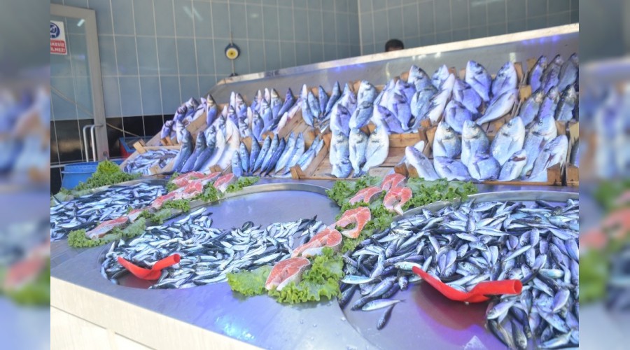 İlk gün hamsi el yaktı