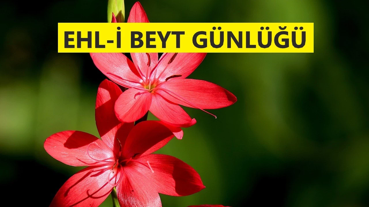 İmam Ali’nin Allah korkusu