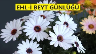 İmam Kâzım’dan hikmetli cevaplar