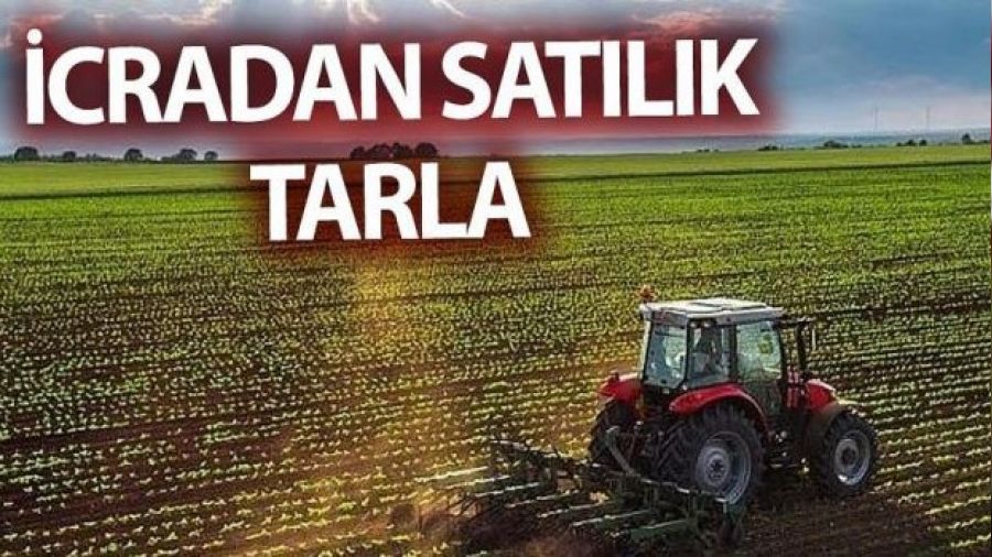  stanbul Eyp Sultan'da satlk tarla