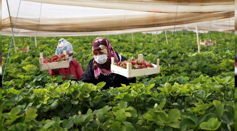  Kad�n �ift�iler dert k�p�