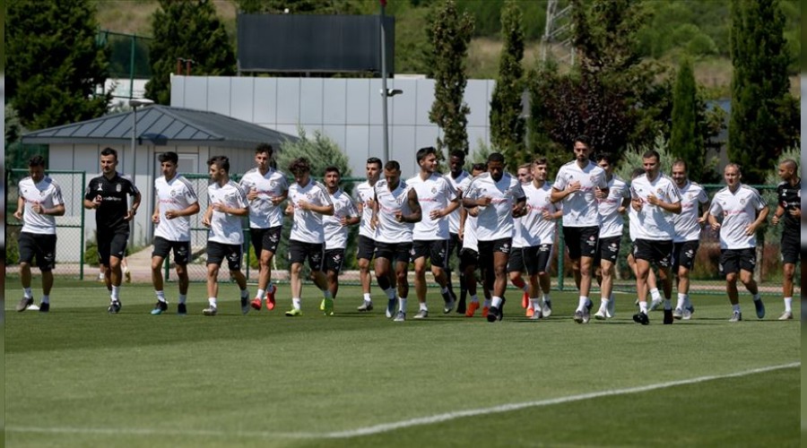 Kartal, Avusturya'ya u�acak